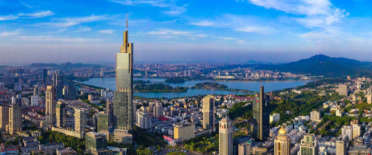 榆树-首屏背景图